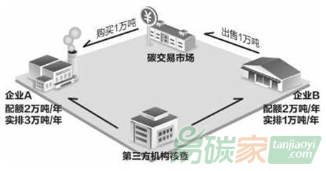 世界典型地区碳威廉希尔体育及电力行业参与情况分析