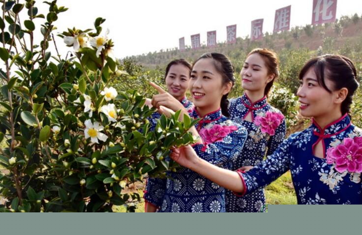 国家林草局：鼓励商业性金融机构发展林权抵押等多项贷款